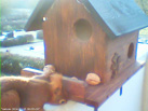 Hoernchencam