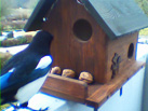 Hoernchencam